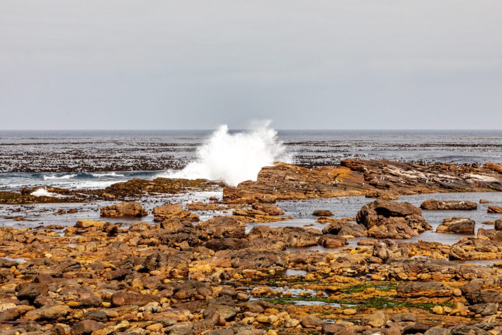 Surf breaking over lichen-covered rocks on the shoreline at the Cape of Good Hope
