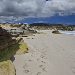 The beach and limestone cliffs at De Kelders on Walker Bay near Gansbaai