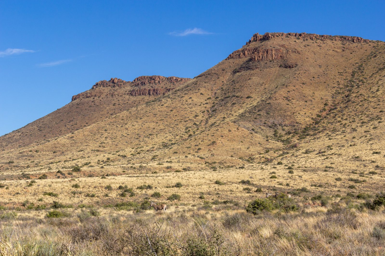 A flat-topped Karoo koppie and dry veld in Karoo National Park