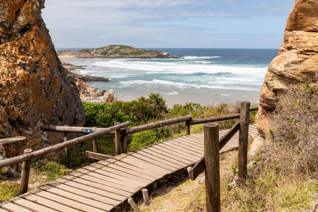 A timber boardwalk along the cliffs of Robberg Nature Reserve above the sea