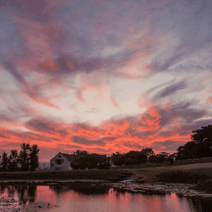 The farm buildings and oaks of Stanford Hills Estate under a sunset sky near Stanford