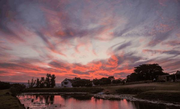 Os edifícios da quinta e os carvalhos de Stanford Hills Estate sob um céu ao pôr do sol perto de Stanford