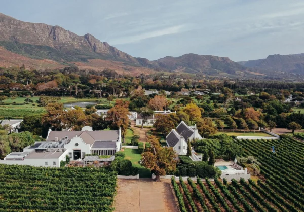 The Cape Dutch buildings and vineyards of Steenberg in the Constantia Valley below the Constantiaberg mountains