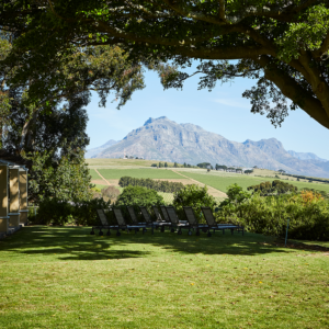 Lawn and loungers at the Devon Valley Hotel looking across vineyards to the mountains