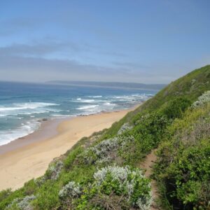 A footpath through coastal fynbos dropping to the beach near Wilderness
