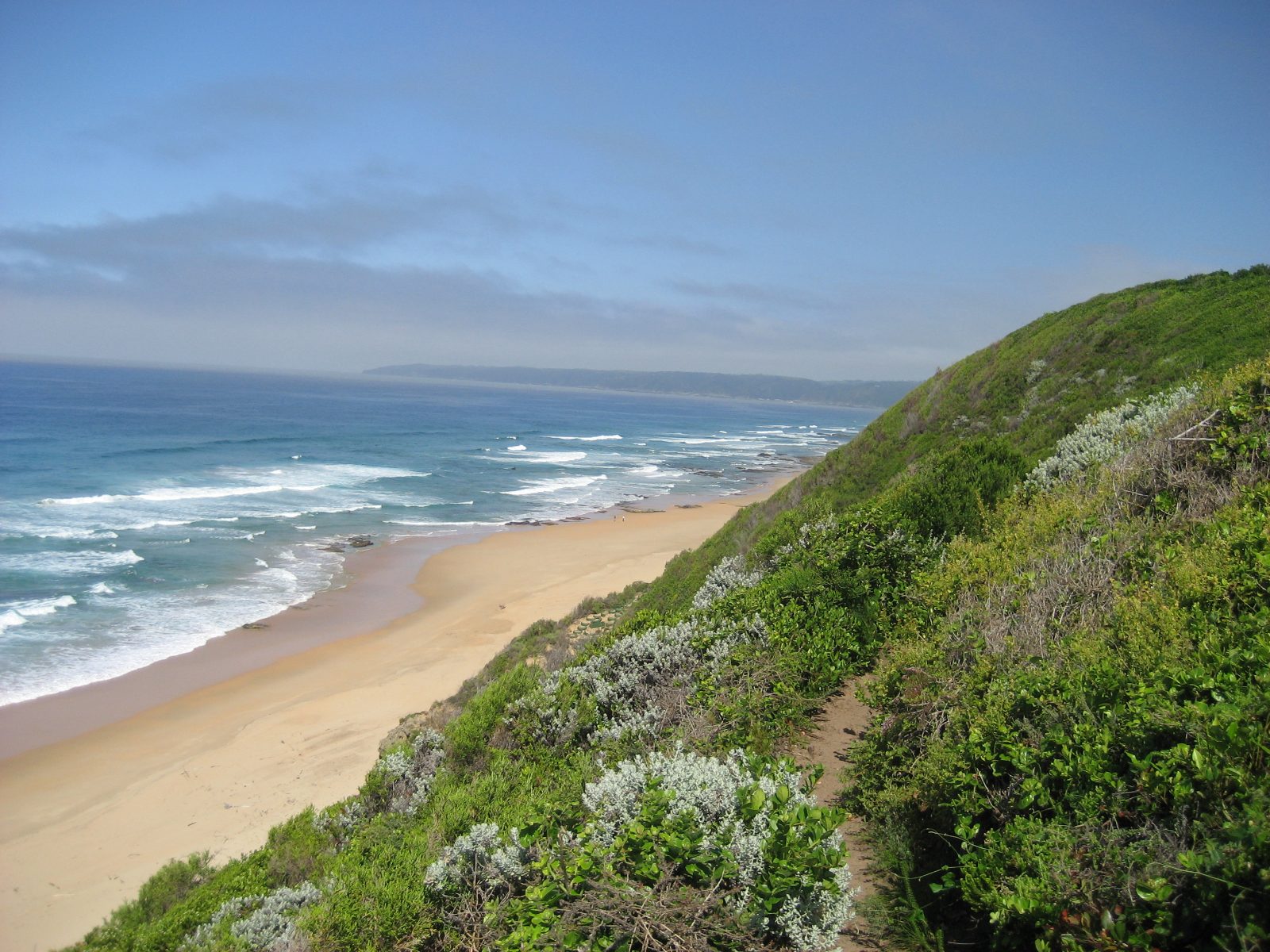 A footpath through coastal fynbos dropping to the beach near Wilderness