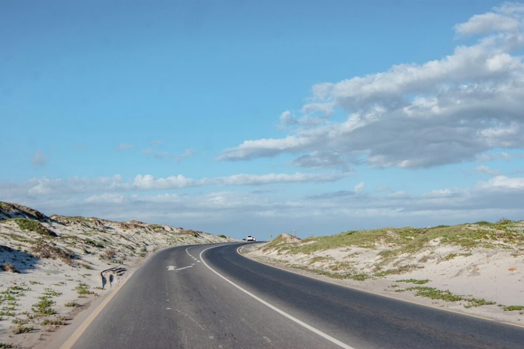 Paved road through a sandy Western Cape landscape