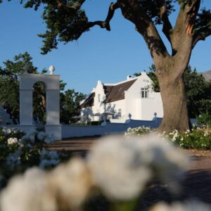 A white house with a tree and white flowers at Adara Palmiet Valley Luxurious Boutique Farm Hotel in Paarl