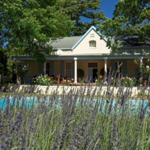 A house with a field of flowers in front of it at Auberge Clermont in Franschhoek