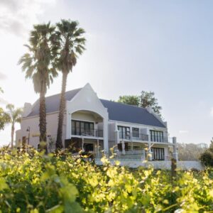 A white house with palm trees in the foreground at Banhoek Lodge in Stellenbosch