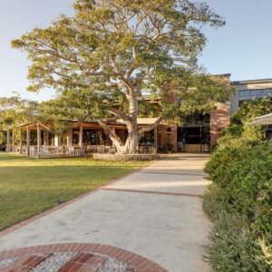 A walkway in front of a building with a tree at Barrington's in Plettenberg Bay
