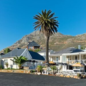A house with a palm tree in front of a mountain at Boulders Beach Hotel and Restaurant in Simonʼs Town