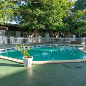 A small swimming pool with a potted plant in it at Brinkley's River Village in Klein Brak Rivier