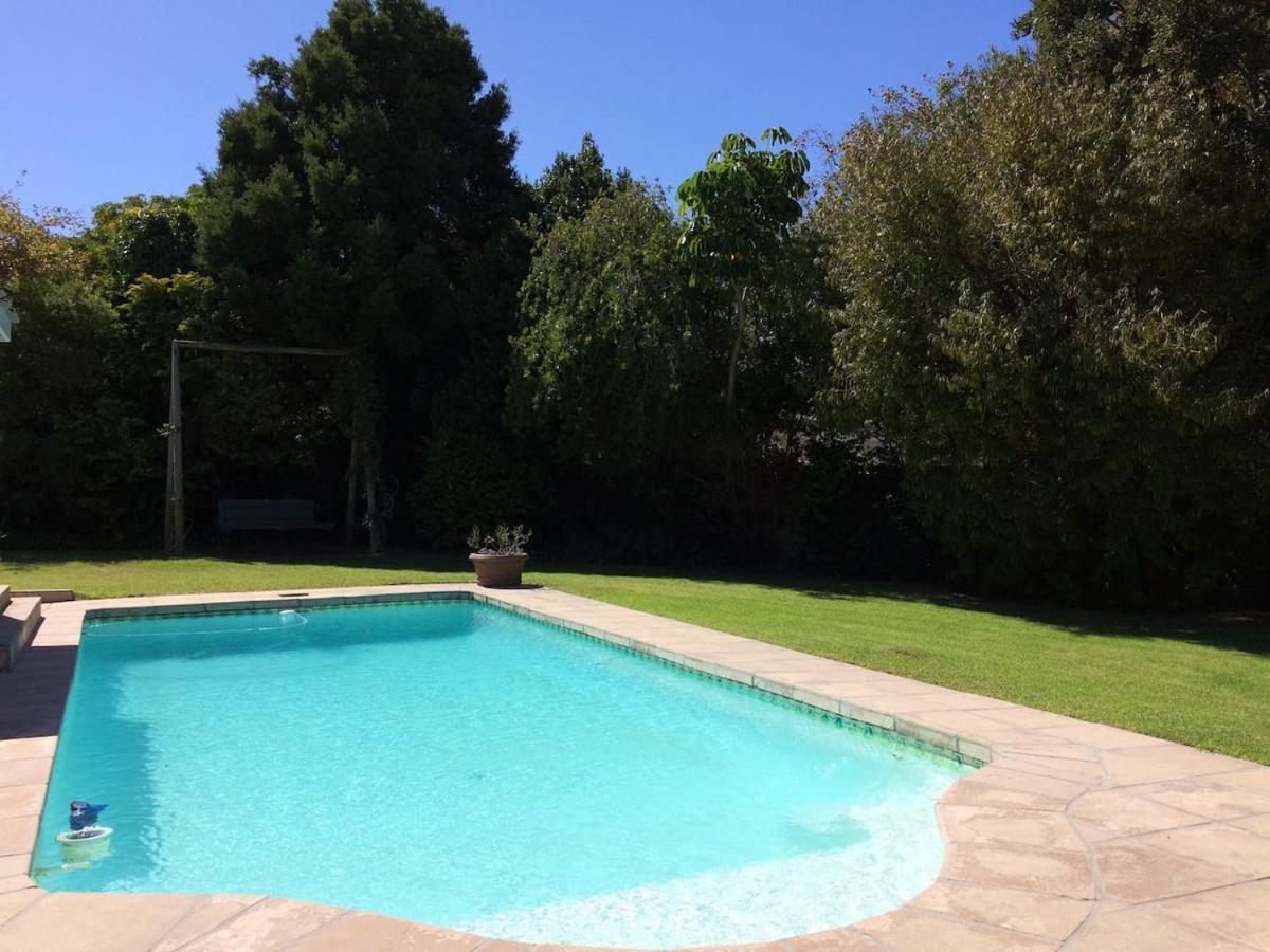 A large blue swimming pool in a yard at Camelot in Constantia in Cape Town
