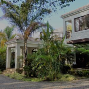 A house with a palm tree in front of it at Cherry Berry Guest House in George