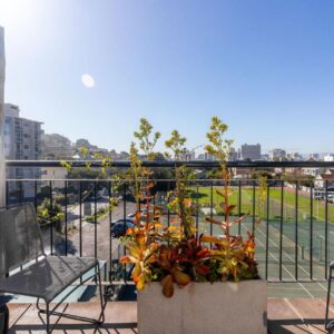 A balcony with two chairs and a potted plant at Cloud 9 Boutique Hotel and Spa in Cape Town