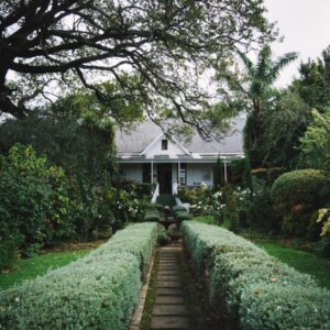A white house with hedges in front of it at Cypress Cottage Guest House in Swellendam