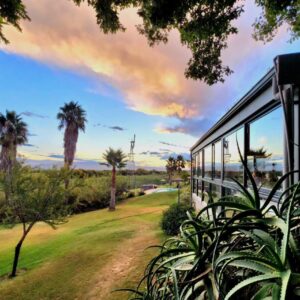 A view of a house with palm trees in the background at De Zeekoe Guest Farm in Oudtshoorn