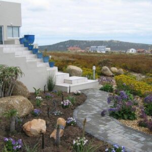 A garden with stairs and flowers in front of a house at Dunestone Boutique GuestHouse in Langebaan