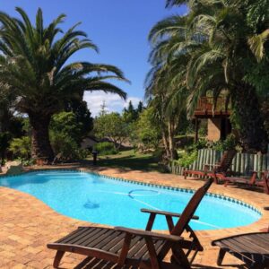 A swimming pool with two chairs and palm trees at Fish Eagle Lodge in Knysna