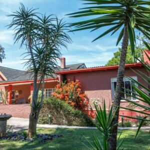 A house with two palm trees in front of it at Gumtree Guest House in Oudtshoorn