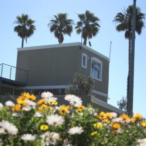 A house with palm trees and flowers in front of it at High Palms (HPK) Guesthouse & kite school in Langebaan