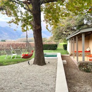 A house with a tree and a swing at La Chataigne Wines & Guest Cottages in Franschhoek
