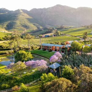 An aerial view of a vineyard in a valley with mountains at La Residence in Franschhoek