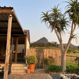 A house with two palm trees in front of it at Leliefontein Eco Cottage and Glamping in Paarl