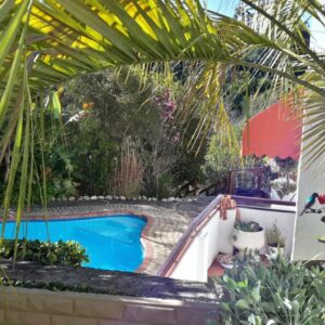 A swimming pool in a garden with palm trees at Masescha Country Estate in Plettenberg Bay