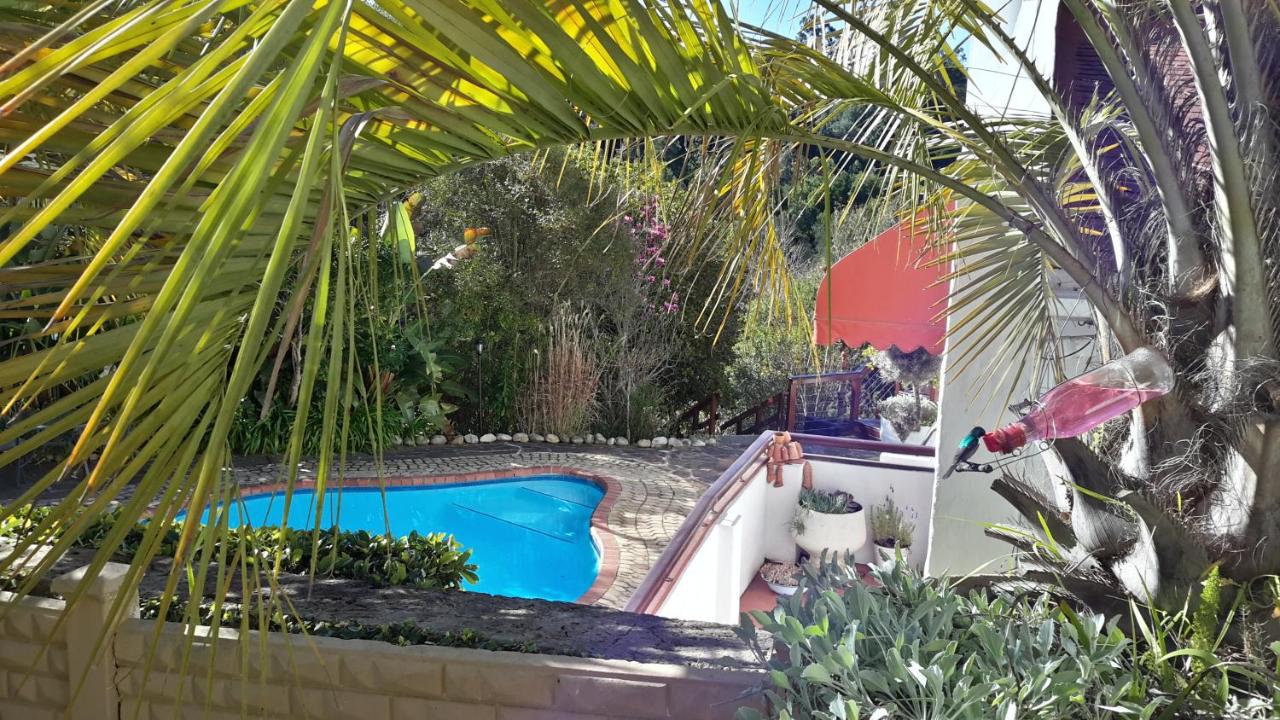 A swimming pool in a garden with palm trees at Masescha Country Estate in Plettenberg Bay