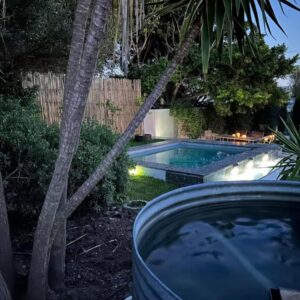 A swimming pool in a backyard with a palm tree at Shores Keep - Self Catering Home in Hermanus