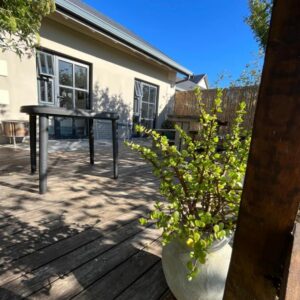 A table and a potted plant on a patio at Stoneridge farm in Plettenberg Bay