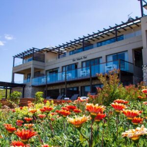 A building with a field of flowers in front of it at The Shark Bay Boutique Hotel & Spa in Langebaan