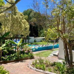 A garden with a pool in the background at Tonquani Private Forest Retreat in Knysna