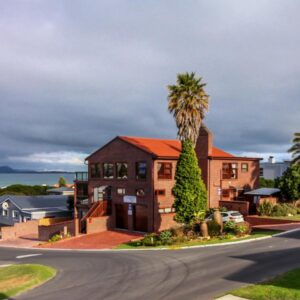 A house with a palm tree in front of a street at White Shark Guest House in Gansbaai