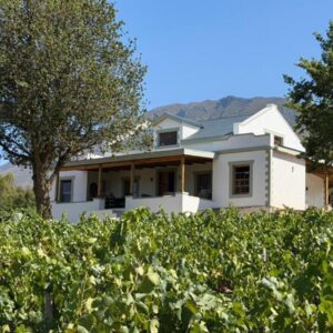 A white house behind a hedge of vines at Windkraal Farm House in Bonnievale