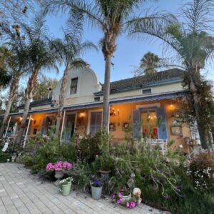 A house with palm trees and flowers in front of it at Yellow Aloe in Clanwilliam