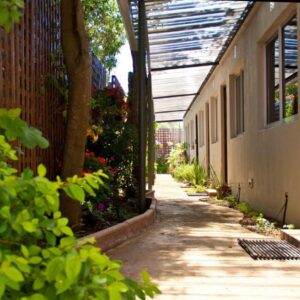 80 Kendal Self-Catering Guest House: an empty alley with plants and a building