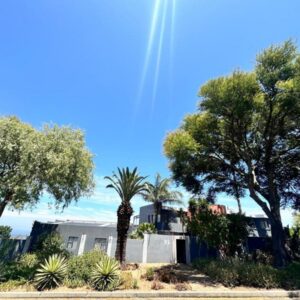 95 on Acacia: a palm tree in front of a house with trees