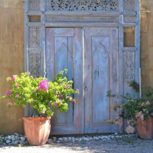 African Sun Guest House: two potted plants in front of a wooden door