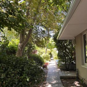 Bishopsfield Guesthouse Rondebosch: a sidewalk next to a house with a tree