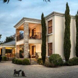 Blaauwheim Guest House: two cats standing in front of a house