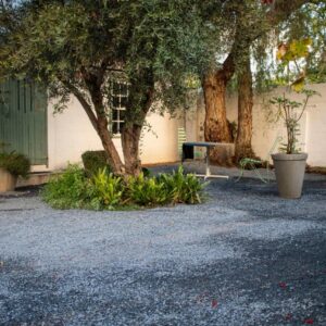 Calitzdorp Self-Catering Guesthouse - Oudehuis: a park with a tree and a bench next to a building