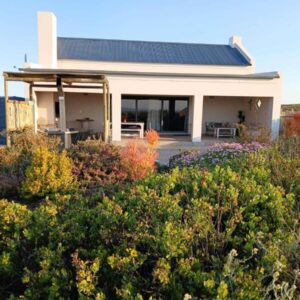 Camelot Cottages: a house with a lot of plants in front of it