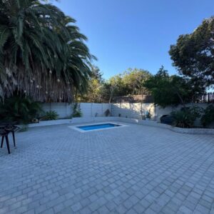 Canary Guest house: a patio with a bench and a palm tree