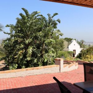 Capelands Wine Farm & Guesthouse: a view from the patio of a house with palm trees
