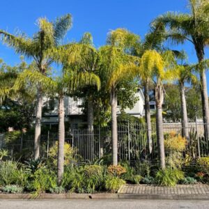 Constantiaberg Eco-Villa: a fence with palm trees in front of a house