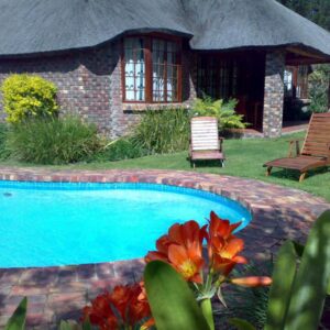 Coral Tree Cottages: a swimming pool in front of a house with a thatch roof