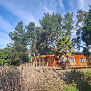 Forest Gate Apartments and Rooms: a house in the middle of a field with trees